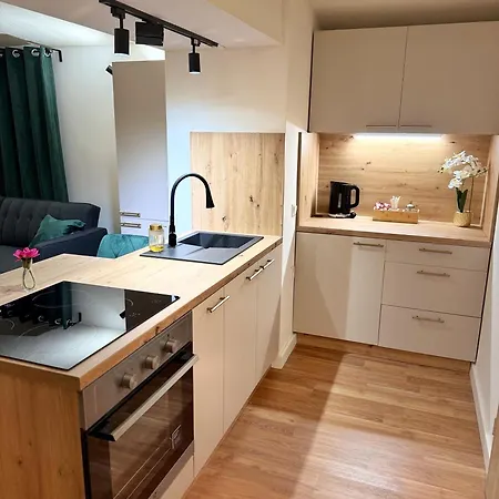 Urban Base With Free Parking & Terrace Celje