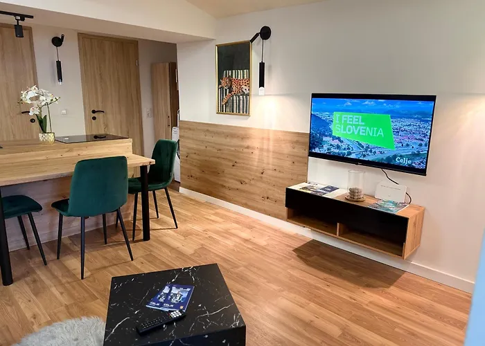 Urban Base With Free Parking & Terrace Celje